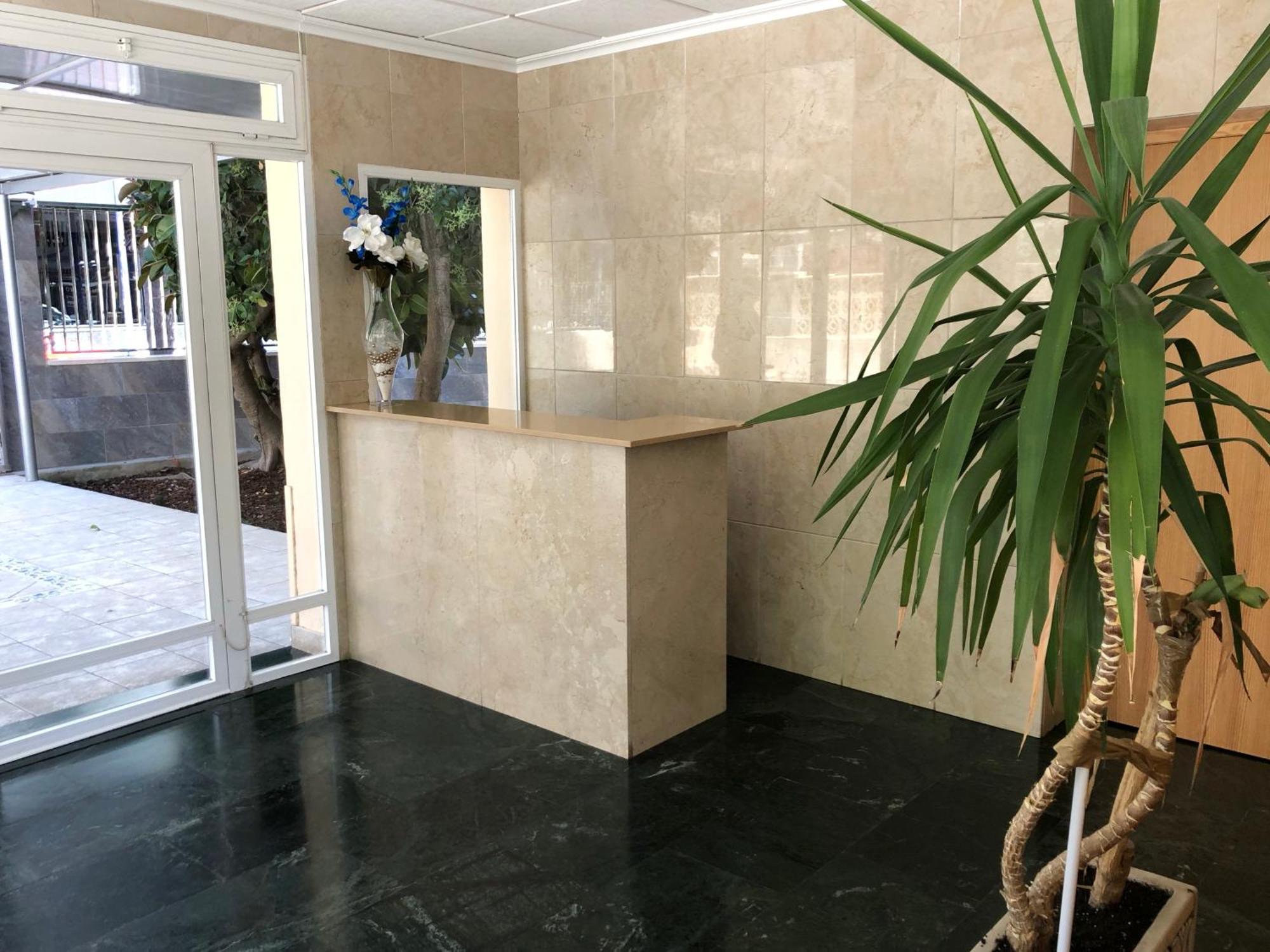 Niza 3B Holiday Apt 베니돔 외부 사진
